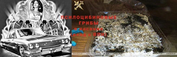 мефедрон мука Гусь-Хрустальный